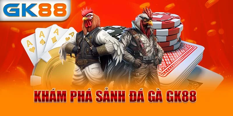 Khám phá sảnh đá gà GK88