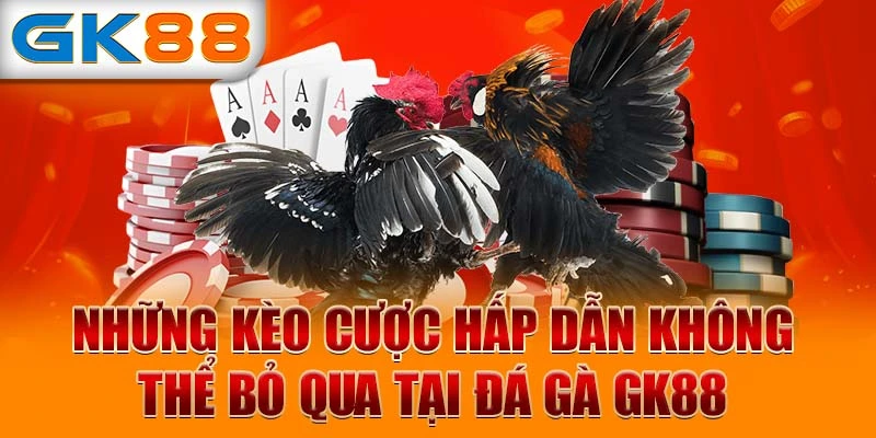 Những kèo cược hấp dẫn không thể bỏ qua tại đá gà GK88